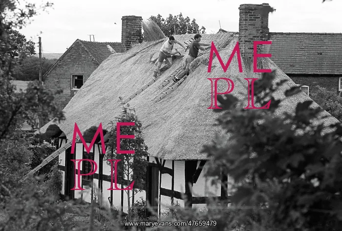 : Thatching Isaac Walton Cottage - 2 : Thatching Isaac Walton Cottage - 2