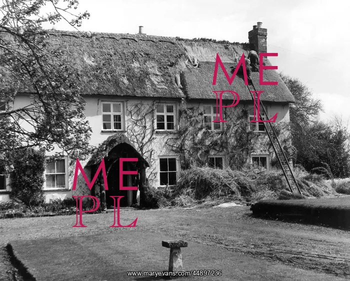 : Thatching at Pinn Court Farm, Pinhoe, Exeter, Devon : Thatching at Pinn Court Farm, Pinhoe, Exeter, Devon