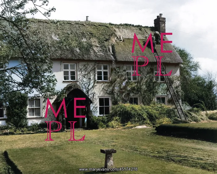 : Thatching at Pinn Court Farm, Pinhoe, Exeter, Devon : Thatching at Pinn Court Farm, Pinhoe, Exeter, Devon
