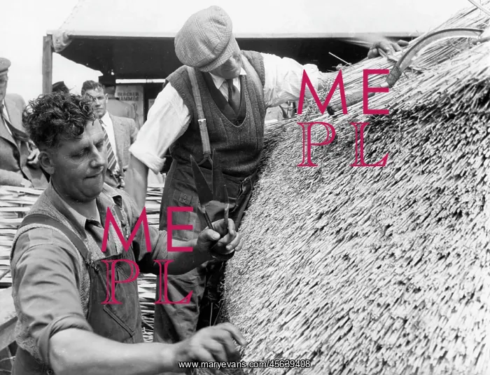  : THATCHING A ROOF / 1950S