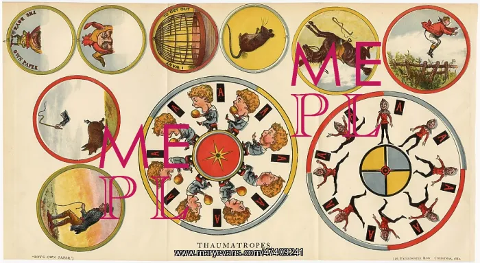 : Thaumatropes - Cut-Out 1881 : Thaumatropes - Cut-Out 1881