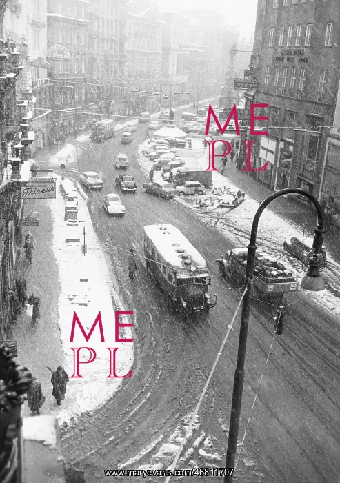: Thaw after snowfall in Vienna 1958 : Thaw after snowfall in Vienna 1958