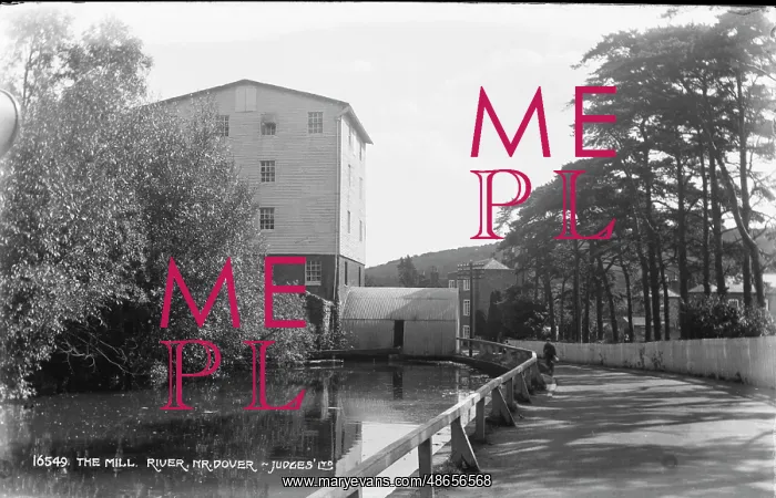 : The Mill by the River : The Mill by the River