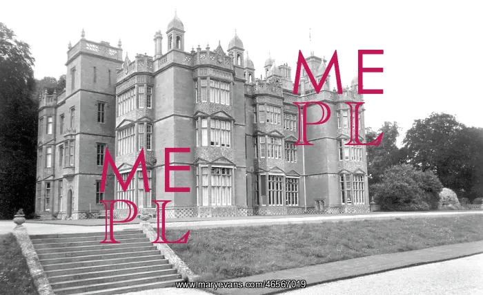  : Theale, Englefield House the Terrace c1955