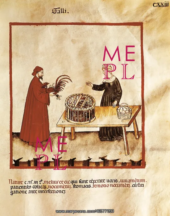 : Theatrum sanitatis (Codex 4182). Tacuinum Sanitatis : Theatrum sanitatis (Codex 4182). Tacuinum Sanitatis