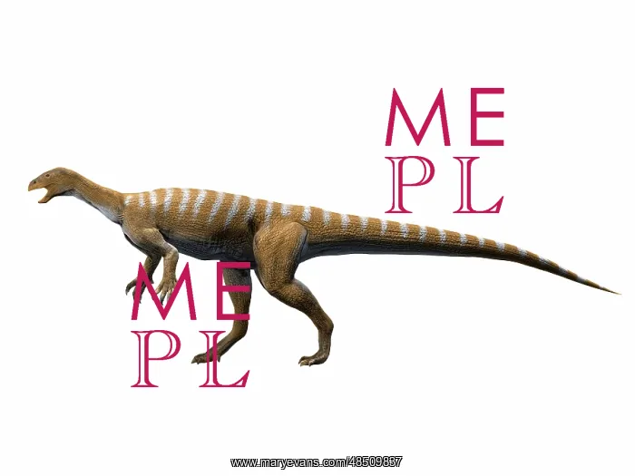 : Thecodontosaurus antiquus, Late Triassic of The United ? : Thecodontosaurus antiquus, Late Triassic of The United ?