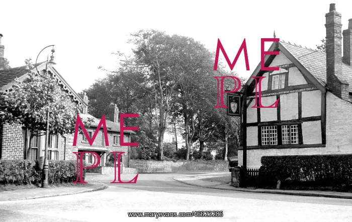  : Thelwall, The Pickering Arms c1955