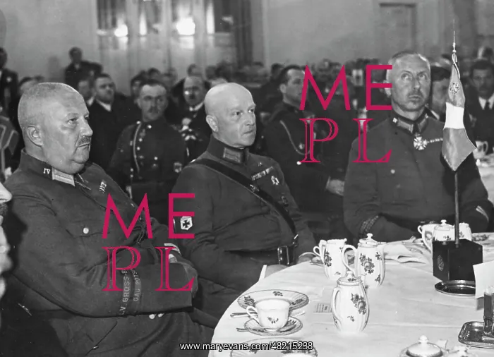 : Theodor Duesterberg : Theodor Duesterberg