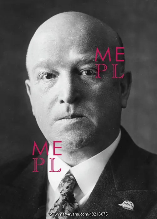 : Theodor Duesterberg : Theodor Duesterberg