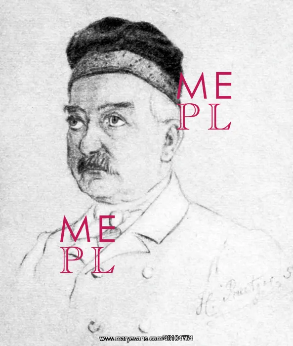 : Theodor Fontane : Theodor Fontane