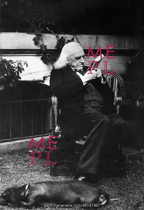 : Theodor Mommsen in his garden : Theodor Mommsen in his garden