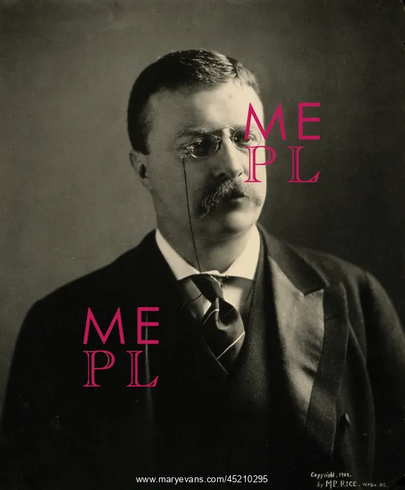 : Theodore Roosevelt in 1902, shortly after ? : Theodore Roosevelt in 1902, shortly after ?