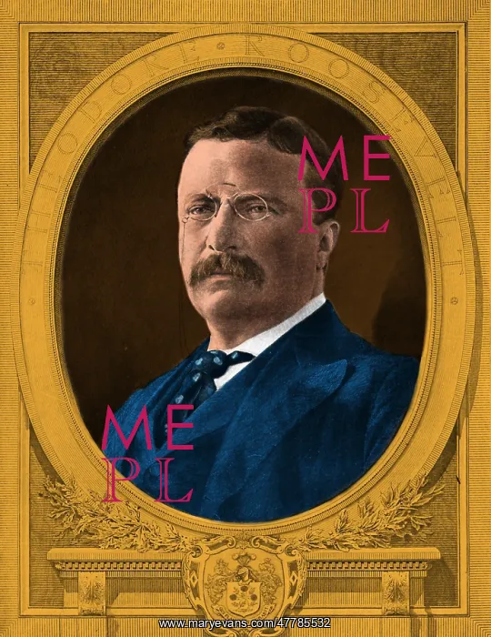 : Theodore Roosevelt, 26th U.S. President : Theodore Roosevelt, 26th U.S. President