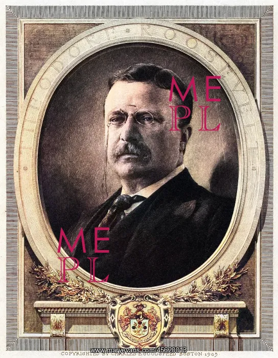  : THEODORE ROOSEVELT