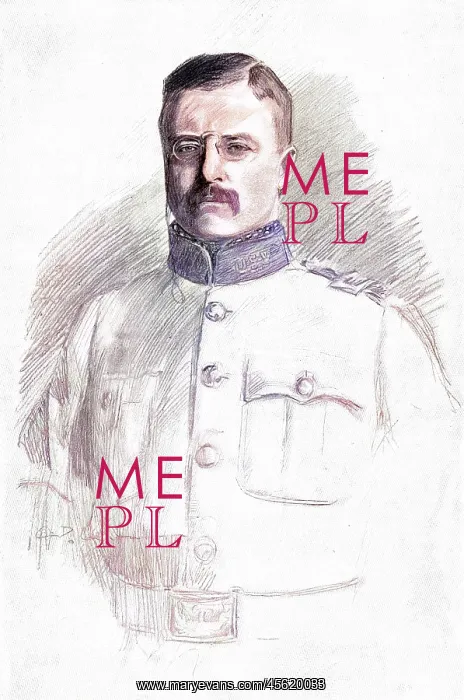 : THEODORE ROOSEVELT : THEODORE ROOSEVELT