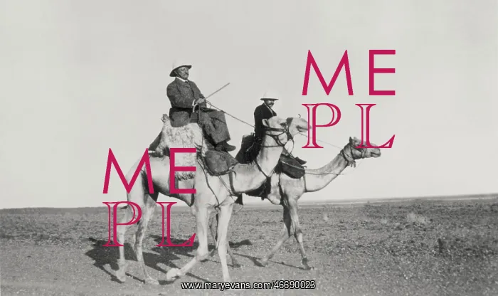 : Theodore Roosevelt : Theodore Roosevelt