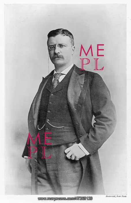 : Theodore Roosevelt : Theodore Roosevelt