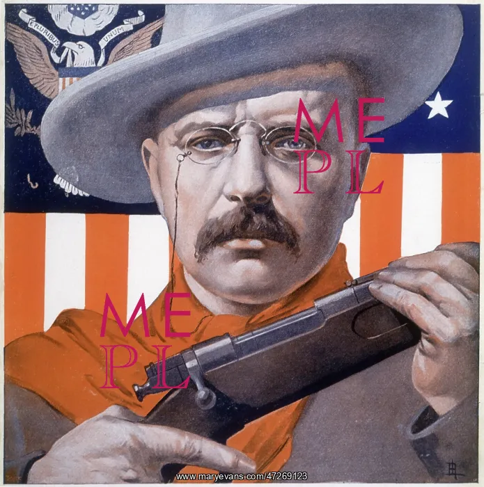 : Theodore Roosevelt : Theodore Roosevelt