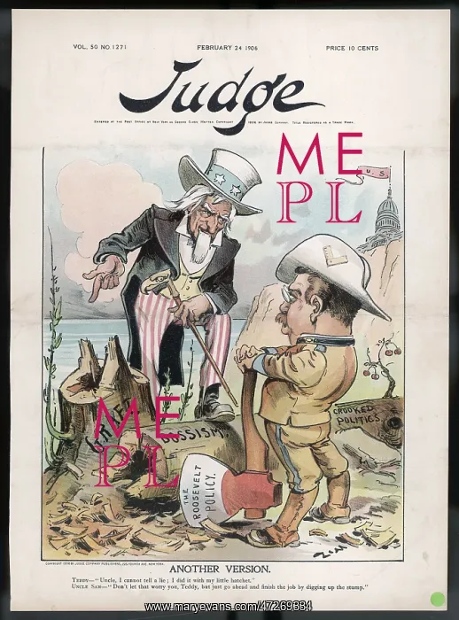 : THEODORE ROOSEVELT : THEODORE ROOSEVELT