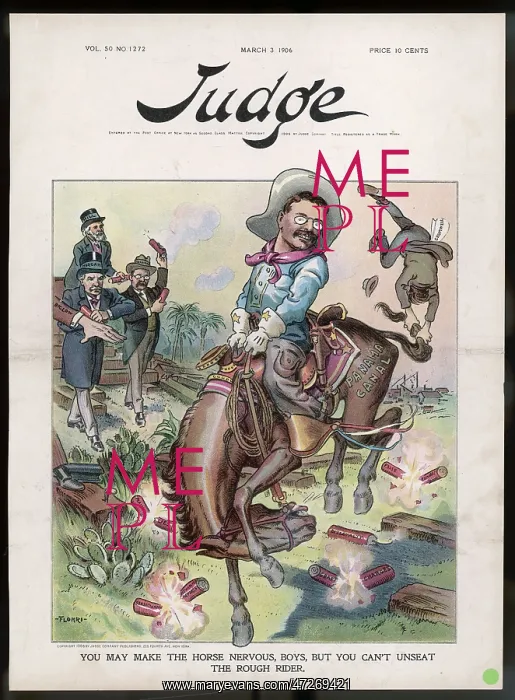 : THEODORE ROOSEVELT : THEODORE ROOSEVELT
