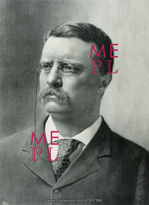  : Theodore Roosevelt