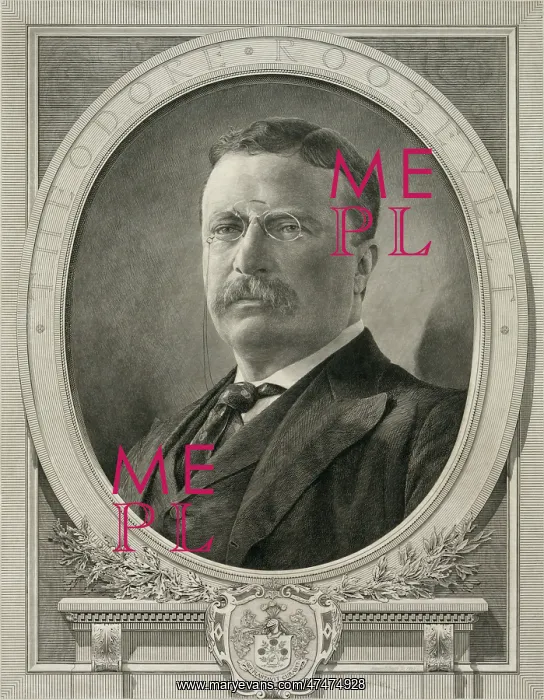  : Theodore Roosevelt