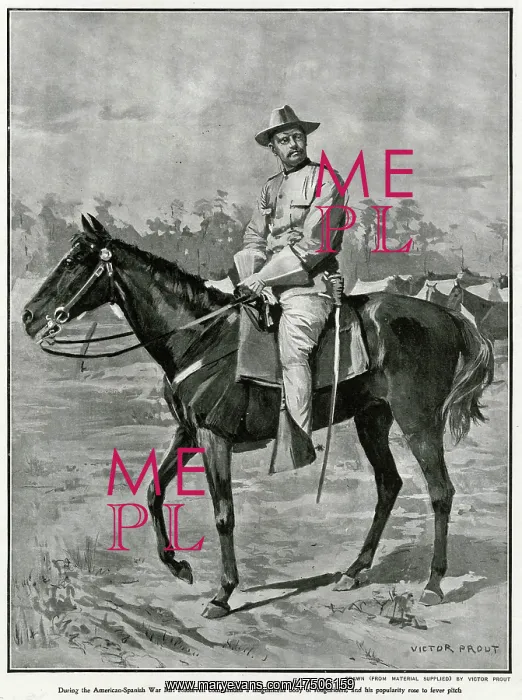 : THEODORE ROOSEVELT : THEODORE ROOSEVELT