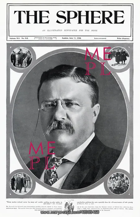 : Theodore Roosevelt : Theodore Roosevelt