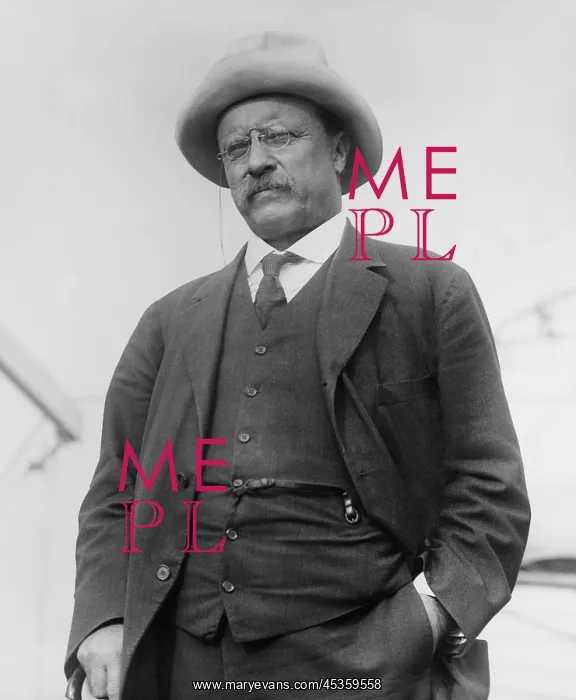: Theodore Roosevelt arrived in NYC from Brazil on : Theodore Roosevelt arrived in NYC from Brazil on
