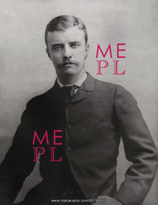: Theodore Roosevelt - assemblyman : Theodore Roosevelt - assemblyman