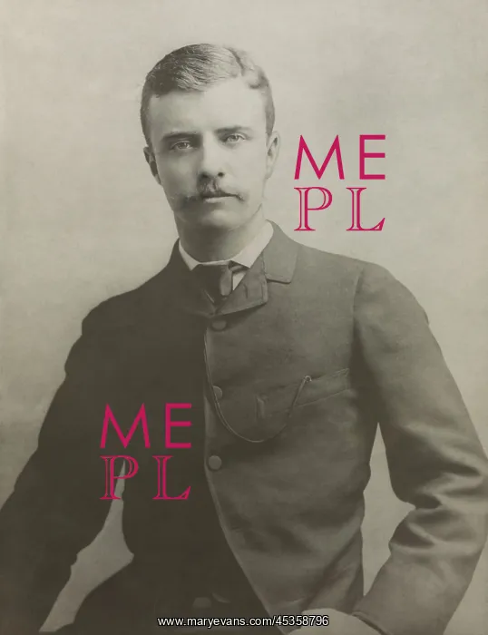 : Theodore Roosevelt as an assemblyman from New York : Theodore Roosevelt as an assemblyman from New York