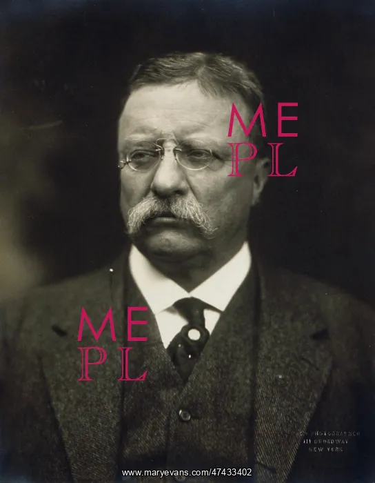 : Theodore Roosevelt, bust portrait, facing front : Theodore Roosevelt, bust portrait, facing front