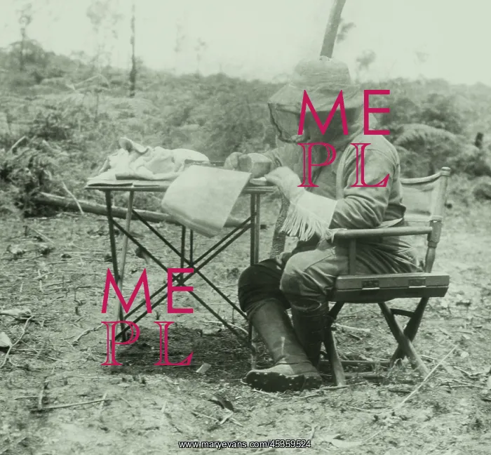 : Theodore Roosevelt did his writing in a head net : Theodore Roosevelt did his writing in a head net