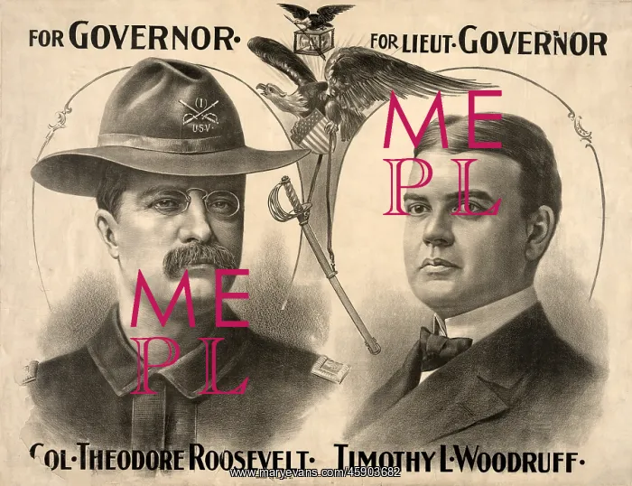: Theodore Roosevelt - governor - campaign - election : Theodore Roosevelt - governor - campaign - election