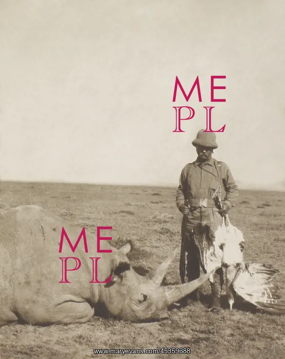 : Theodore Roosevelt holding a dead bustard and standing : Theodore Roosevelt holding a dead bustard and standing
