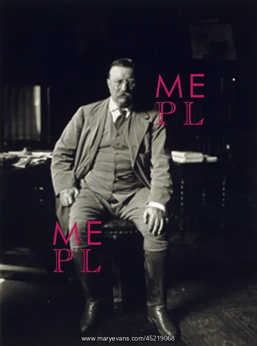 : Theodore Roosevelt in his library at Oyster ? : Theodore Roosevelt in his library at Oyster ?