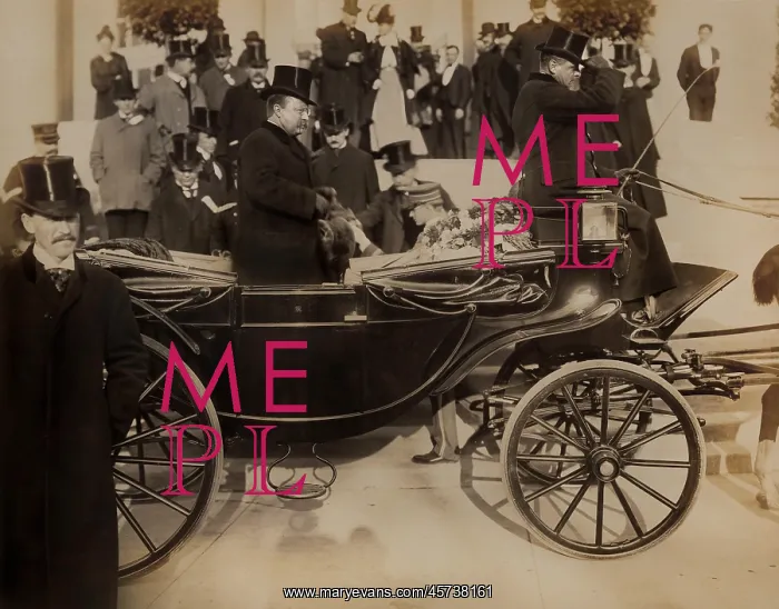 : Theodore Roosevelt - President : Theodore Roosevelt - President