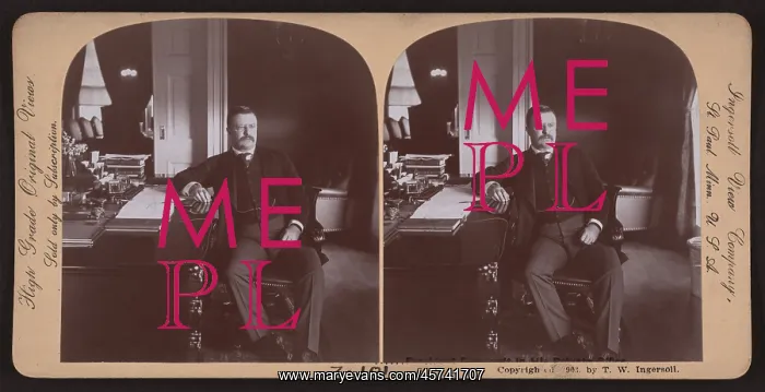 : Theodore Roosevelt - president : Theodore Roosevelt - president