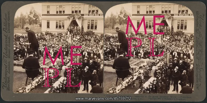 : Theodore Roosevelt - President : Theodore Roosevelt - President