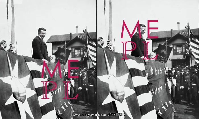: Theodore Roosevelt - President : Theodore Roosevelt - President