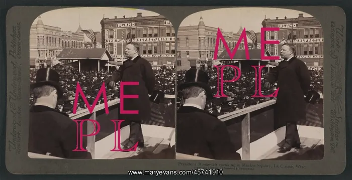  : Theodore Roosevelt - president - speech