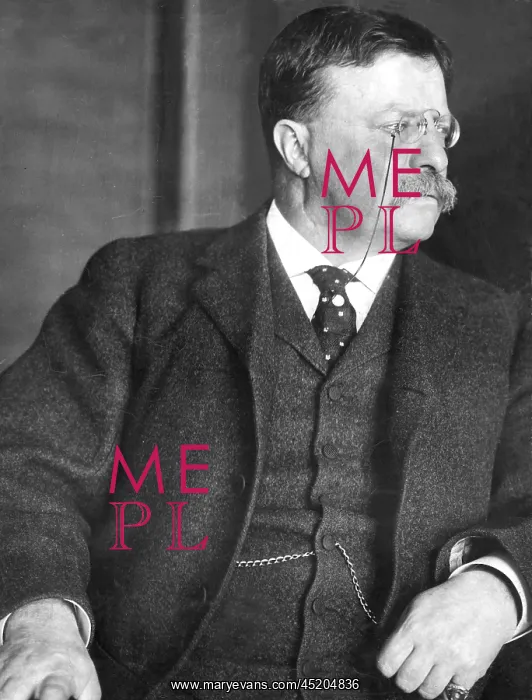 : Theodore Roosevelt in his private office ? : Theodore Roosevelt in his private office ?