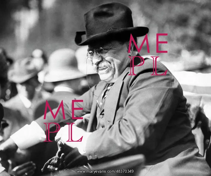 : Theodore Roosevelt riding in a car with a big : Theodore Roosevelt riding in a car with a big
