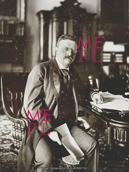 : Theodore Roosevelt seated at desk, facing front : Theodore Roosevelt seated at desk, facing front