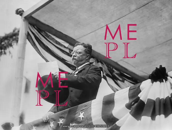 : Theodore Roosevelt speaking on the day of his return : Theodore Roosevelt speaking on the day of his return
