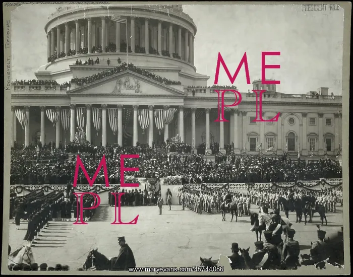: Theodore Roosevelt - Teddy - president - inauguration : Theodore Roosevelt - Teddy - president - inauguration