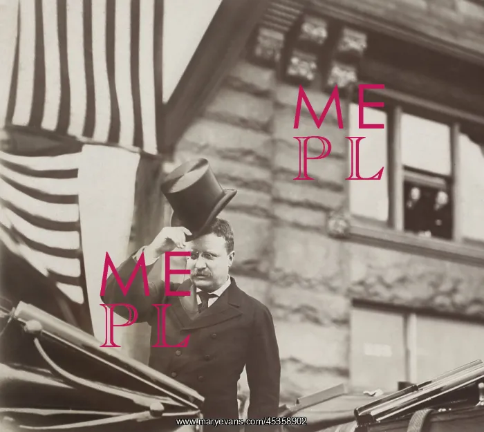 : Theodore Roosevelt tipping his hat in an open carriage : Theodore Roosevelt tipping his hat in an open carriage