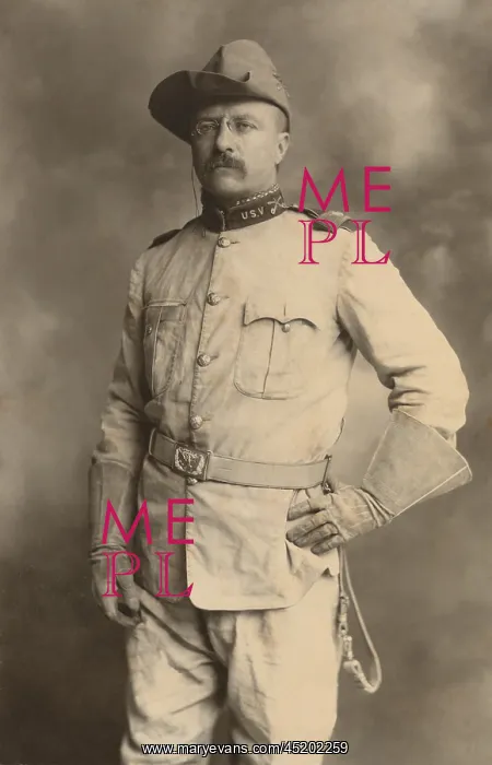: Theodore Roosevelt in the uniform of an ? : Theodore Roosevelt in the uniform of an ?