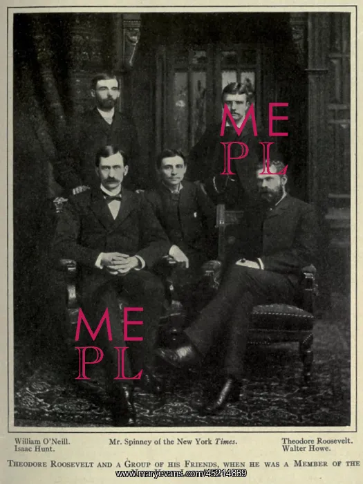 : Theodore Roosevelt upper right and a group ? : Theodore Roosevelt upper right and a group ?