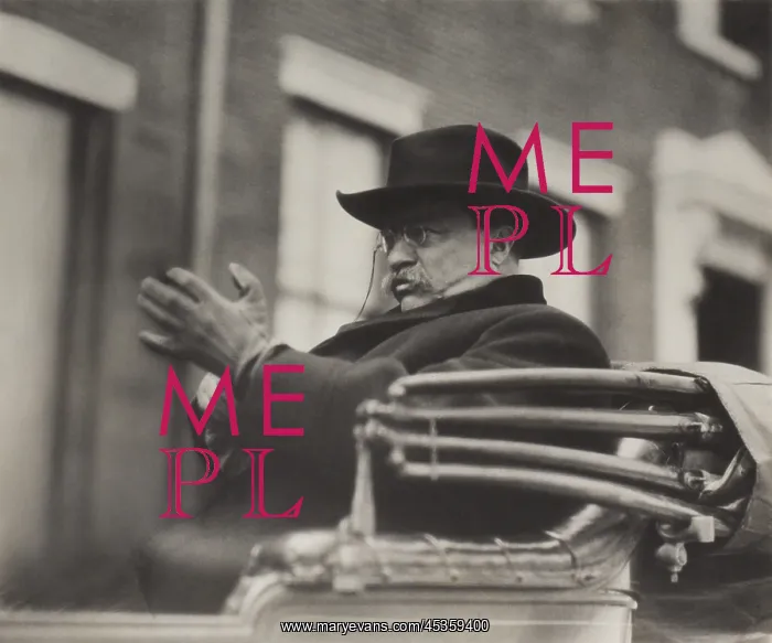 : Theodore Roosevelt (waving hat) and Charles Evans : Theodore Roosevelt (waving hat) and Charles Evans